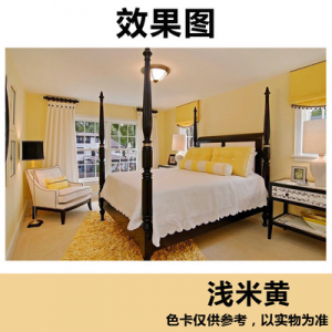 彩色室內(nèi)環(huán)保油漆內(nèi)墻面漆